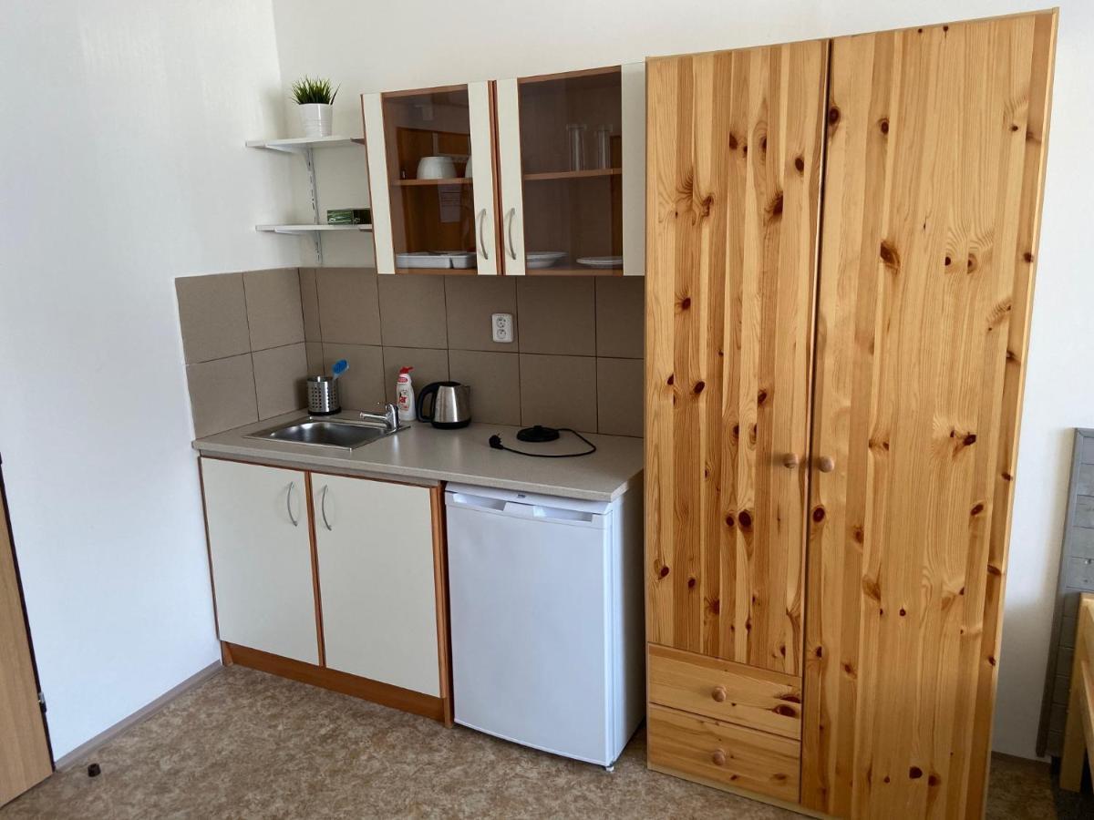 Apartmany Premyslova Hradec Králové Exteriör bild